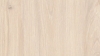H1384 ST40